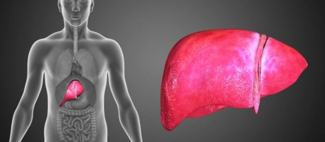 Αυτές είναι οι τροφές που θα σας βοηθήσουν να έχετε ένα υγιές ήπαρ